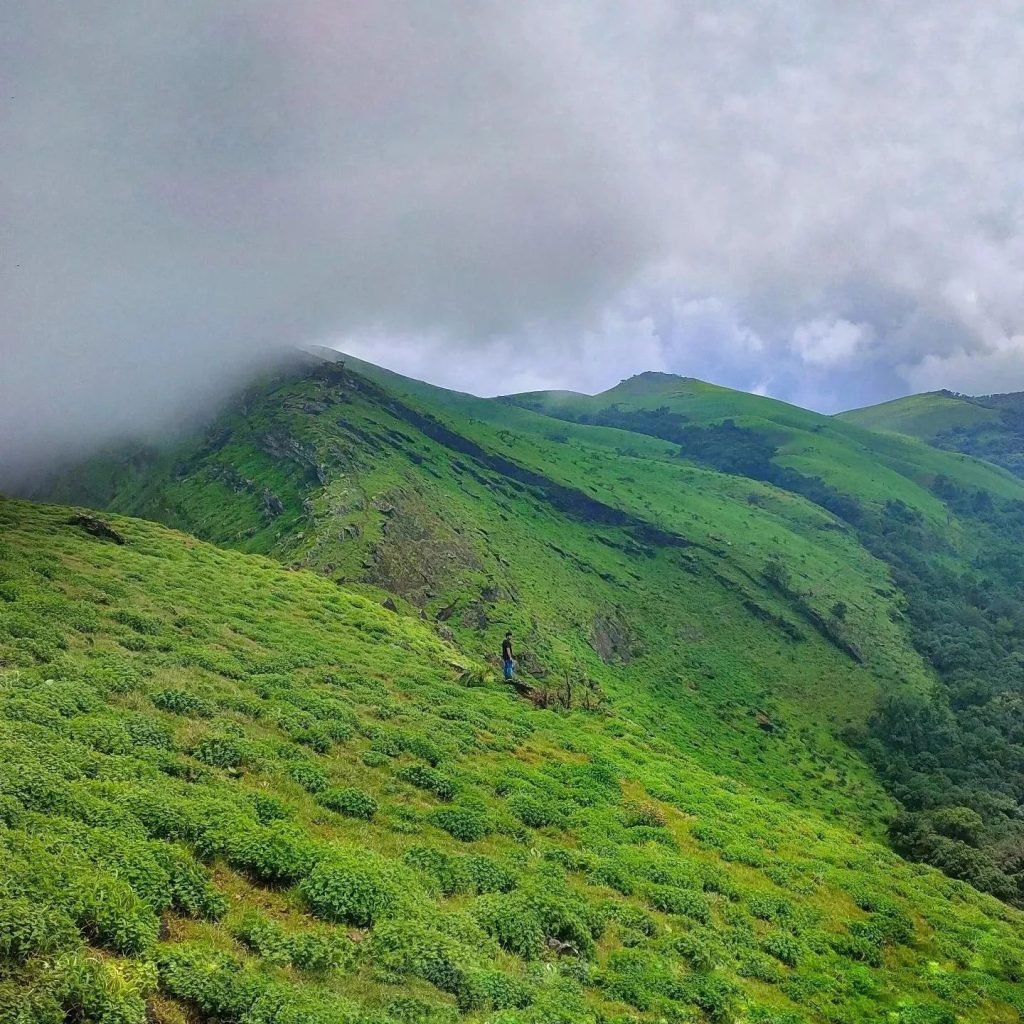 Lush green mountains of Kemmangundi