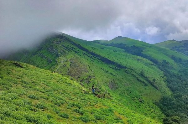 Lush green mountains of Kemmangundi