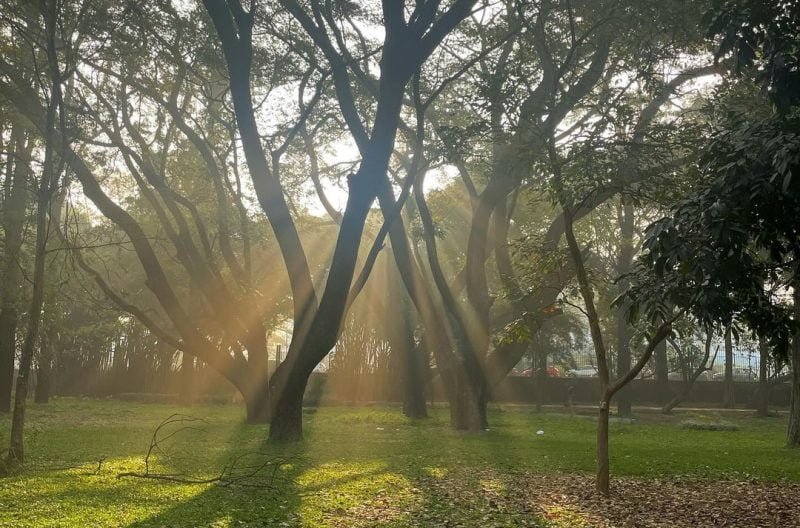 Cubbon Park