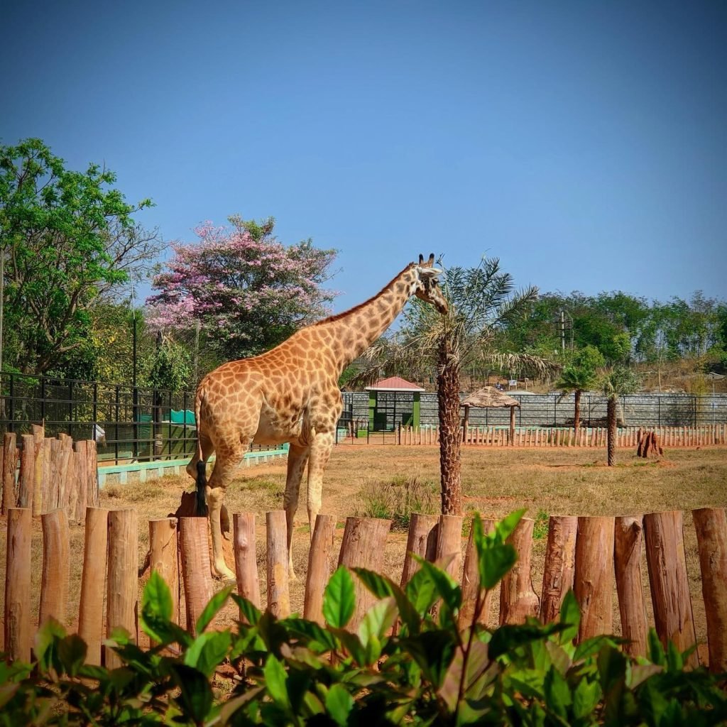 Bannerghatta Biological Park