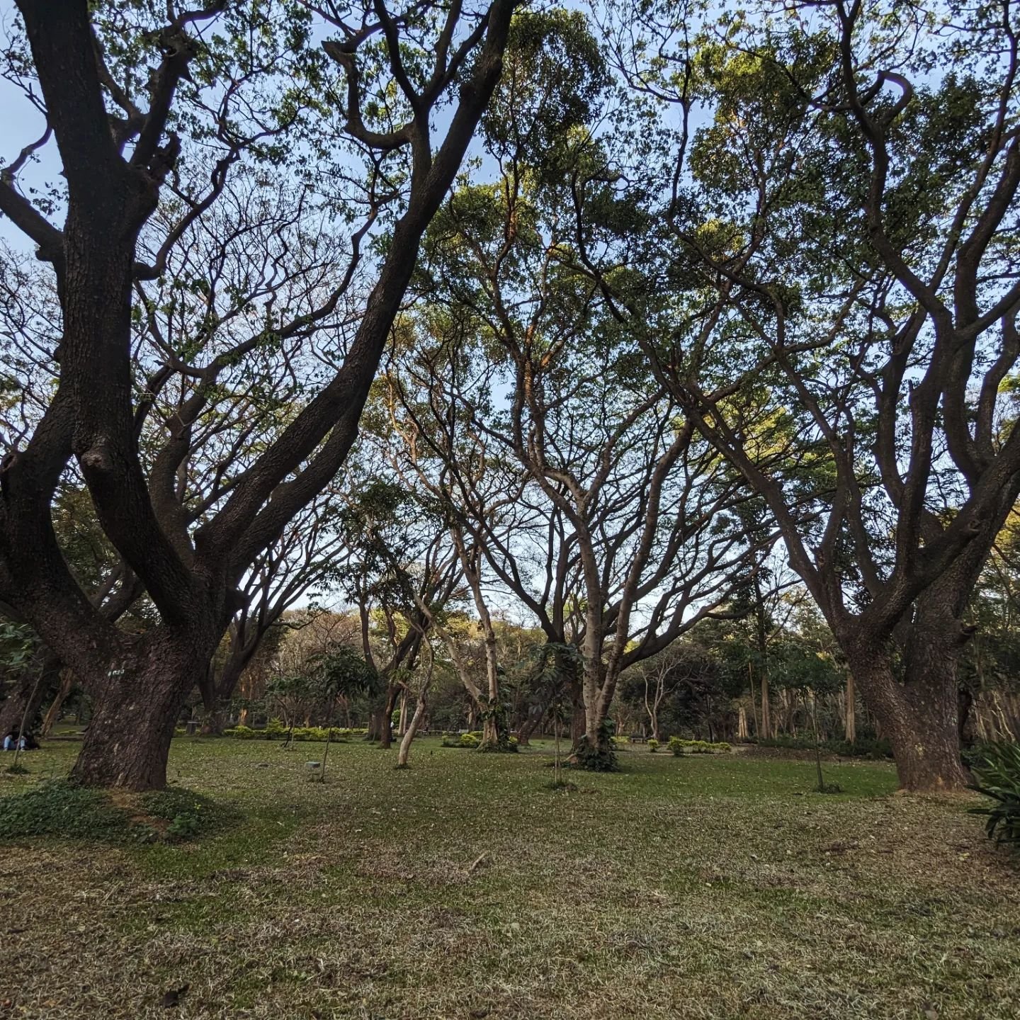 Cubbon Park, Nature Places In Bangalore