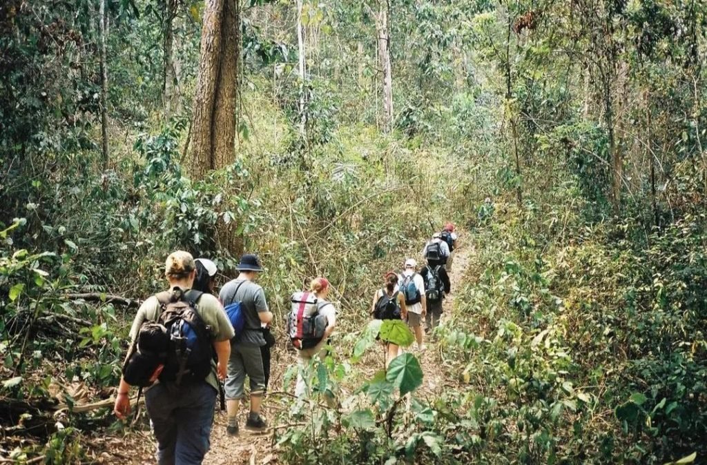 dandeli trekking