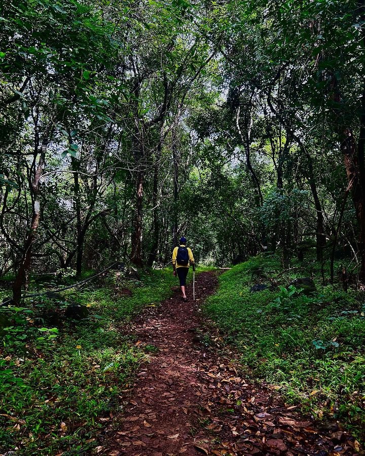 trekking near mysore cover