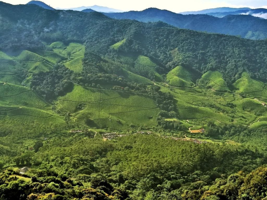 Eravikulam National Park