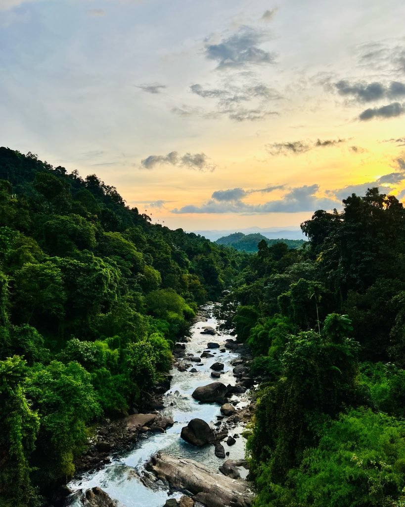 thusharagiri waterfalls cover