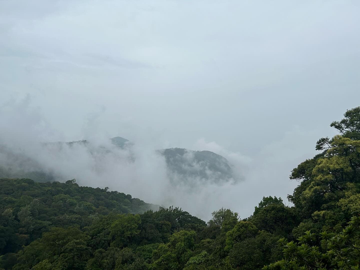 Z Point Chikmagalur Clouds