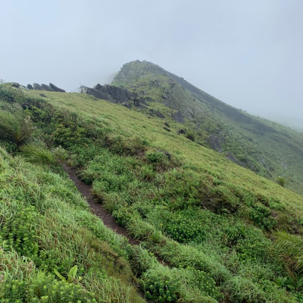 Z Point Chikmagalur, hill stations near bangalore, Places To Visit In Chikmagalur In 2 Days
