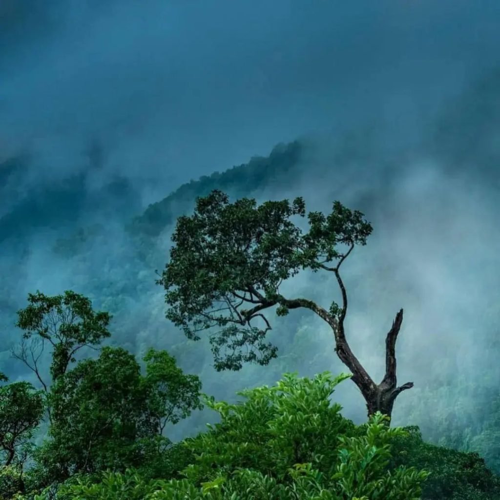 Places to Visit in Shimoga Agumbe Fog, hill stations