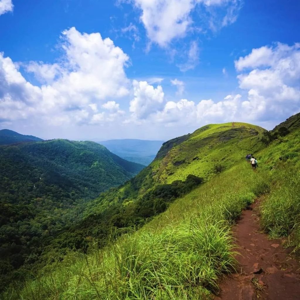 Z Point Trek Path, Treks in Karnataka, Sakleshpur Tourist Places, Places To Visit In Chikmagalur In 2 Days