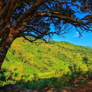 Kudremukh