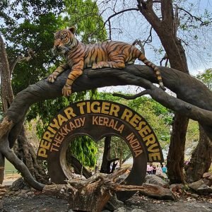 tiger reserve periyar